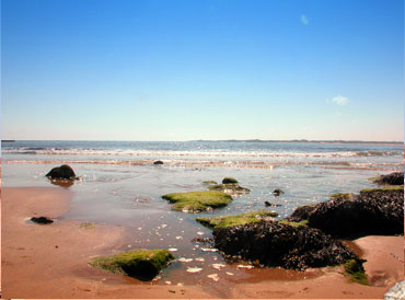 A Beautiful Sunny Day On Beadnell Beach