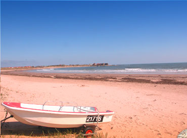 Miles of Golden Sand at Beadnell Bay